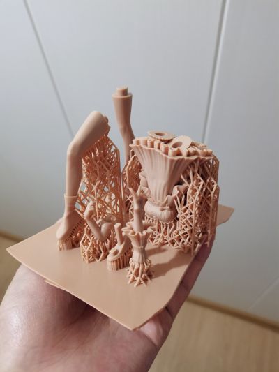 可塑性记忆 艾拉