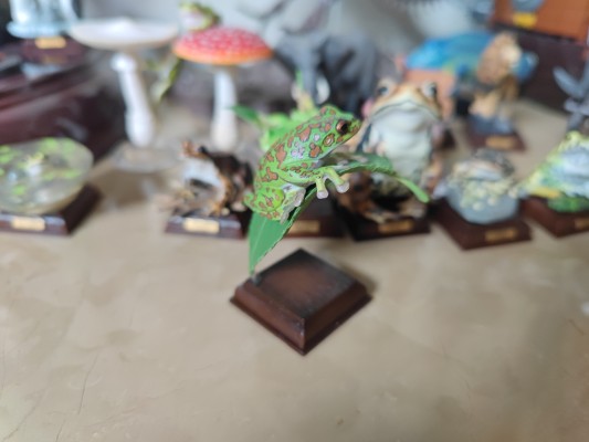 【水上精灵】海洋生物系列 Vol.1宽吻海豚【#1-001】