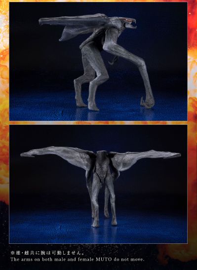 怪兽番外地 穆托 两件套