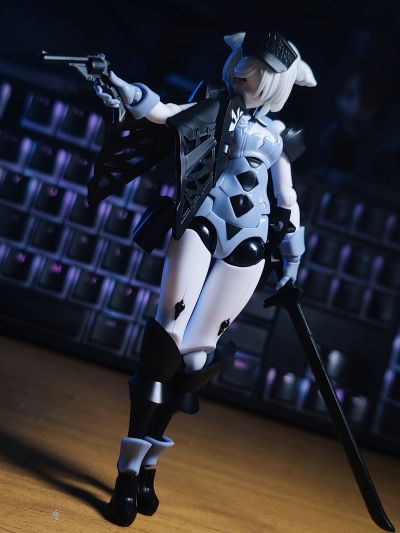 chitocerium VI-carbonia graphites