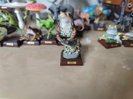 小手办 蜘蛛猫猫