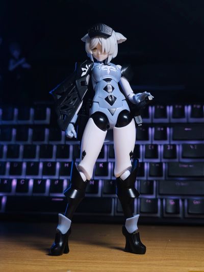 chitocerium VI-carbonia graphites