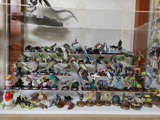 【水上精灵】海洋生物系列 Vol.1宽吻海豚【#1-001】