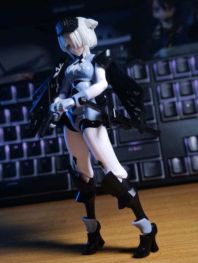 chitocerium VI-carbonia graphites