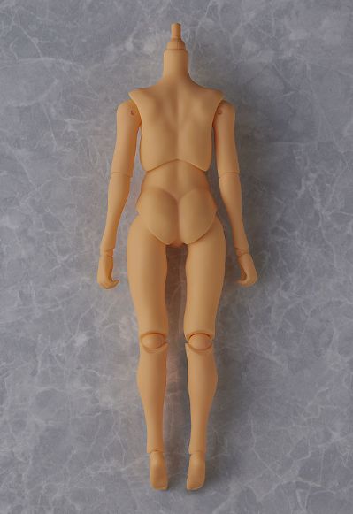 Harmonia bloom 原创素体 root (身体/日落）