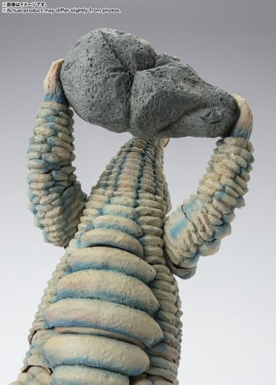 S.H.Figuarts  雷德王