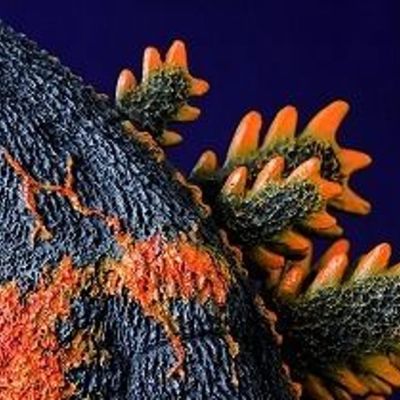 北川宏一 VS 红莲哥斯拉 特摄立体模型