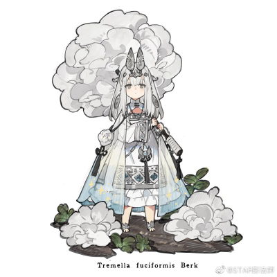 菇娘系列·No.3·金顶侧耳