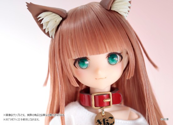 我家的猫是可爱女孩 黄豆粉 Dollybird限定版