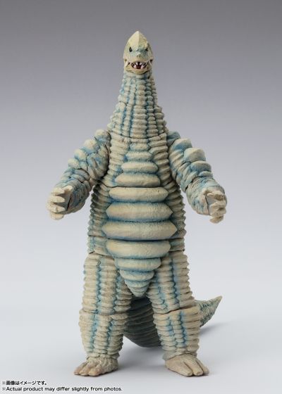 S.H.Figuarts  雷德王