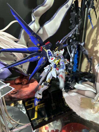 METAL ROBOT魂＜机动战士系列＞  强袭自由高达  SEED20周年纪念版