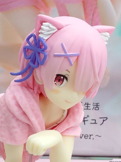 Desktop Cute Re:从零开始的异世界生活 拉姆 ~猫咪居家服~