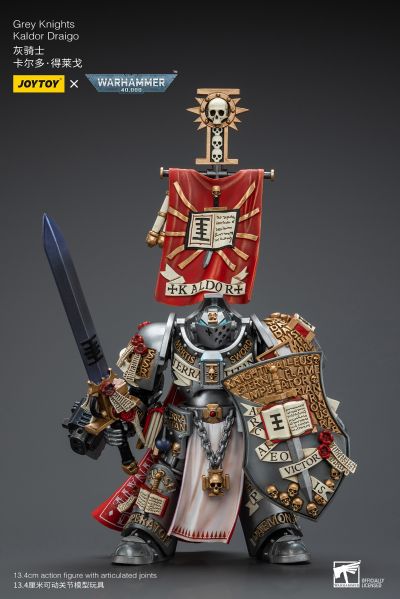 战锤40000 灰骑士 卡尔多·得莱戈