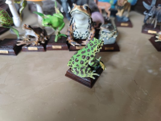 NATURE TALES 蓝枪鱼