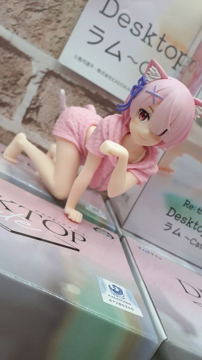 Desktop Cute Re:从零开始的异世界生活 拉姆 ~猫咪居家服~