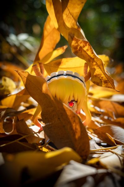 粘土人#1962 小林家的龙女仆 托尔