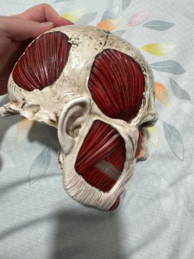 进击的巨人 地鸣