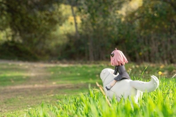间谍过家家 阿尼亚·福杰