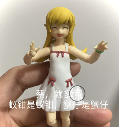 figma #239 伪物语 忍野忍