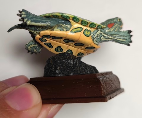 【水上精灵】海洋生物系列 Vol.1宽吻海豚【#1-001】