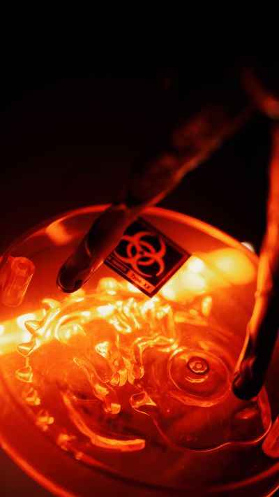 Angel XX series EVA 阿米沙尔 