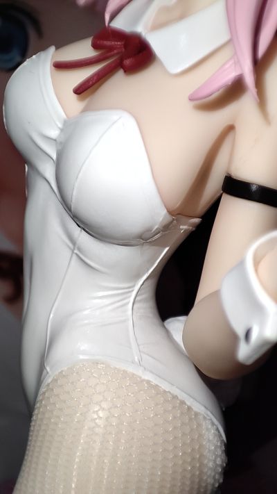 BiCute Bunnies 辉夜大小姐想让我告白～初吻不会结束～  藤原千花