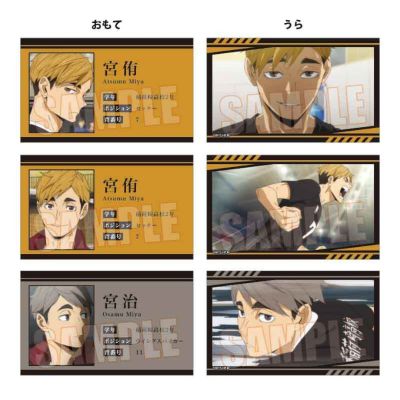 排球少年 回忆卡片收藏