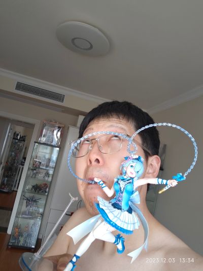 Re：从零开始的异世界生活 蕾姆 魔法少女