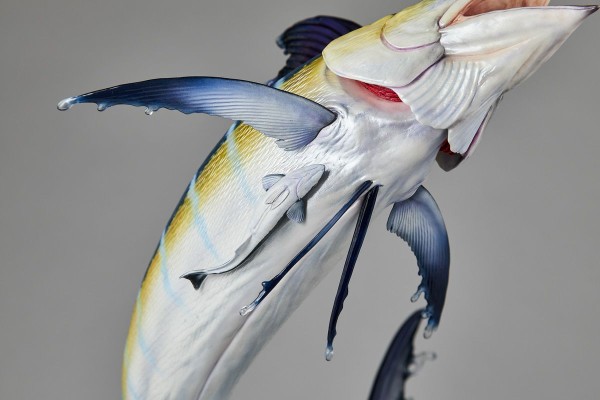 NATURE TALES 蓝枪鱼