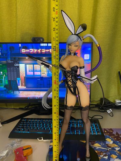 B-style CODE GEASS 反叛的鲁路修  维蕾塔·努 兔女郎