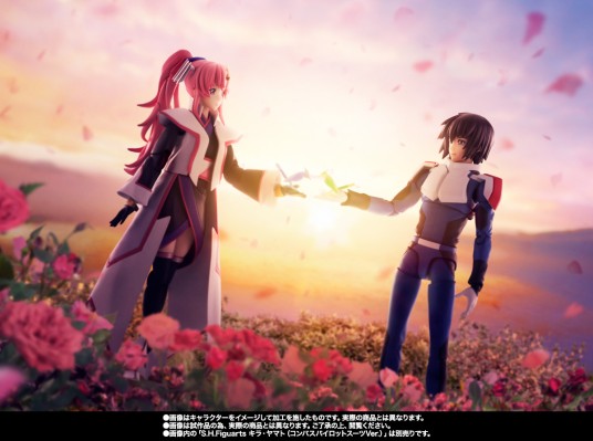 S.H.Figuarts  拉克丝·克莱茵（孔帕斯指挥官外套）