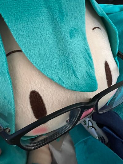 可爱软绵绵玩偶 Preciality系列 L码 初音未来