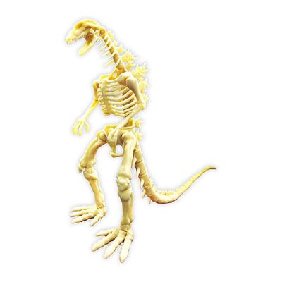 西川伸司出品 究极可动 哥斯拉骨架 EX