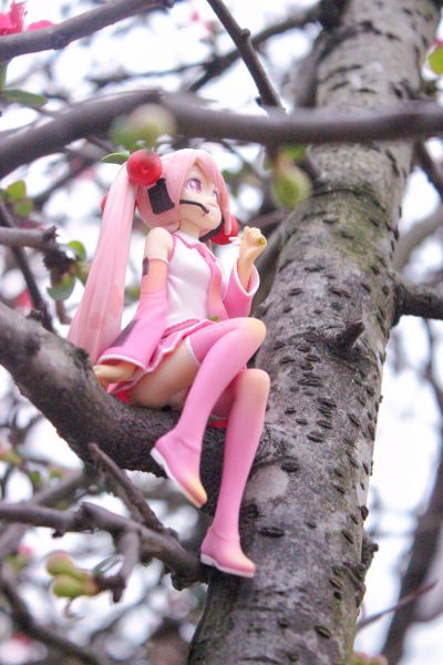 压泡面手办 VOCALOID 初音未来 樱未来 2022款式