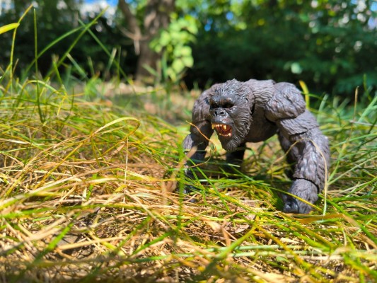 S.H.MonsterArts 哥斯拉大战金刚 金刚  -SDCC展会限定版-