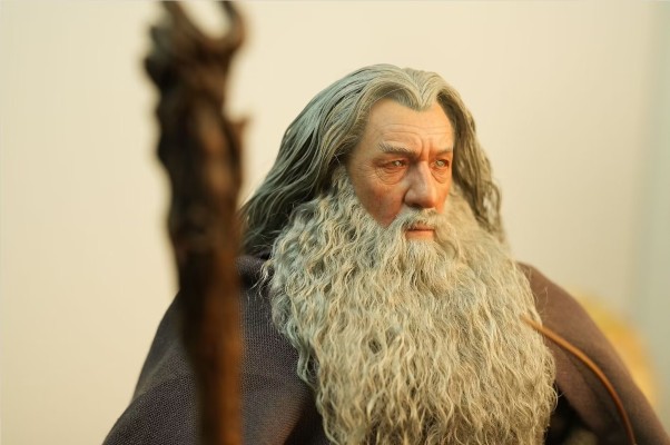 指环王 甘道夫（灰袍） 收藏级可动人偶