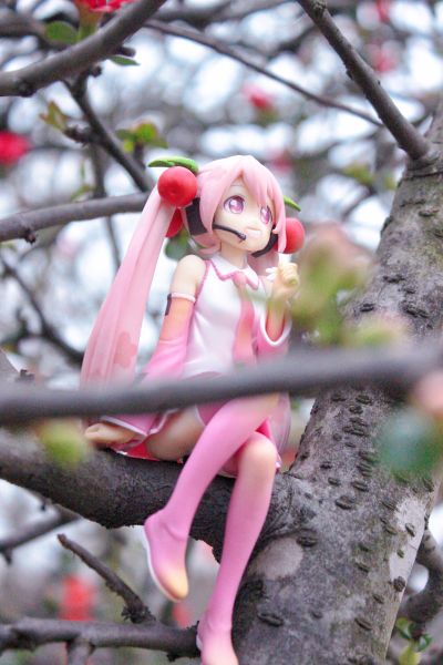 压泡面手办 VOCALOID 初音未来 樱未来 2022款式