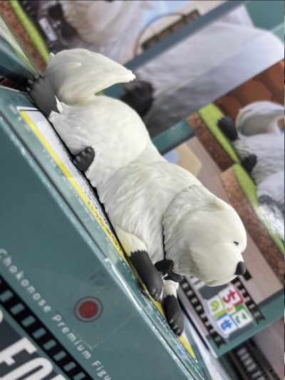 小坐系列 间谍过家家 代号：白 约尔·福杰（看电影）