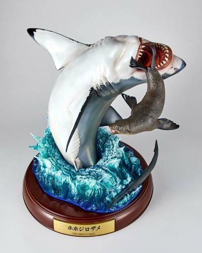 NATURE TALES 大白鲨