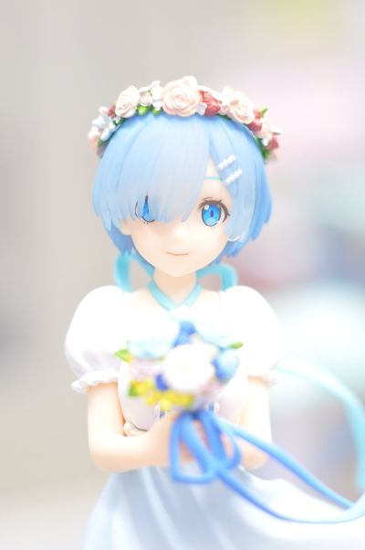 Trio-Try-iT Re：从零开始的异世界生活  雷姆·伴娘