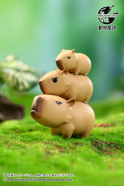 卡皮巴拉水豚 盲盒