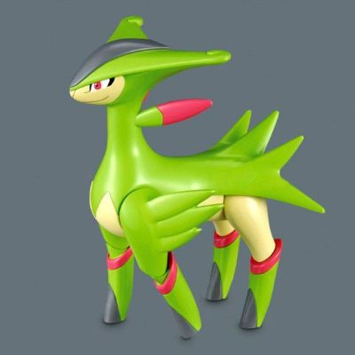 宝可梦拼装模型系列 No.24 特选系列 毕力吉翁