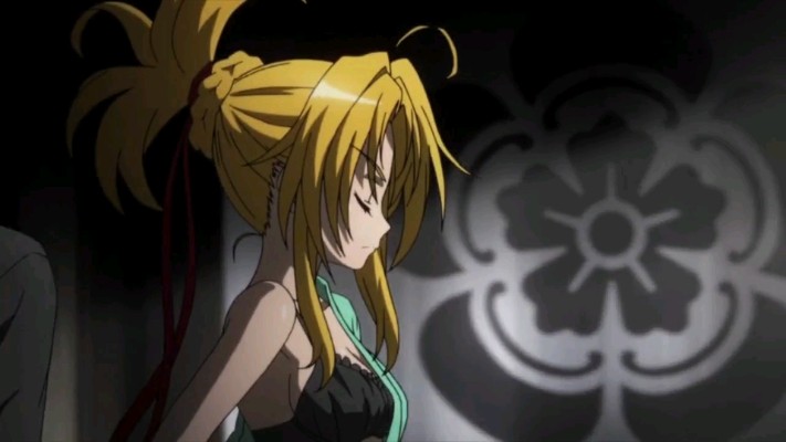 DREAM BOX 织田信奈的野望 织田信奈