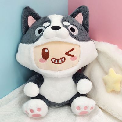 元梦之星 坐姿毛绒 哈士奇