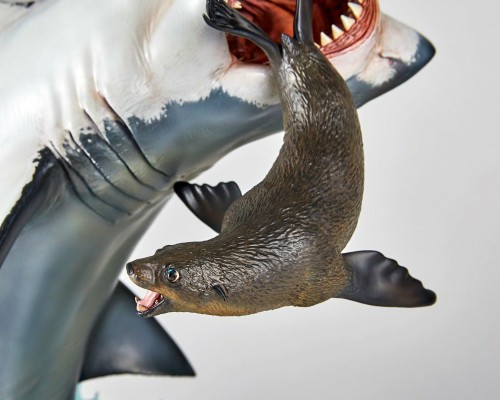 NATURE TALES 大白鲨