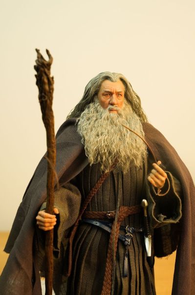 指环王 甘道夫（灰袍） 收藏级可动人偶