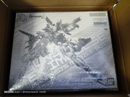 MG  1/100  Ex脉冲高达