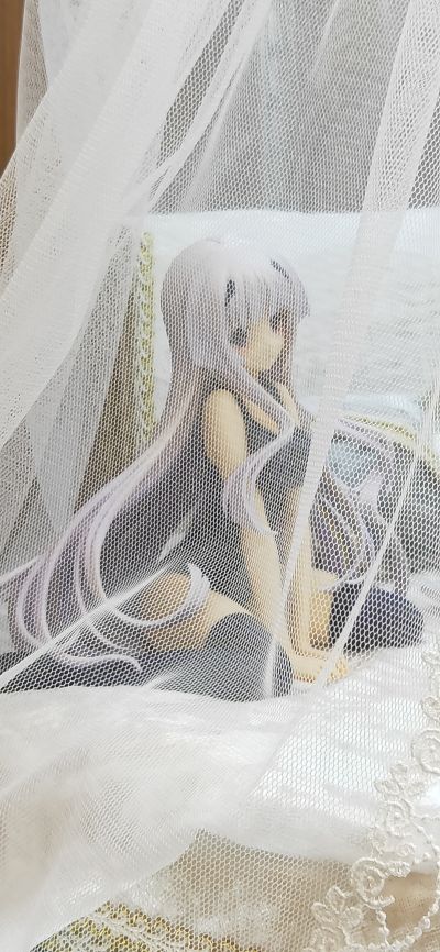 伊妮亚・谢斯切娜 -SUKUMIZU-