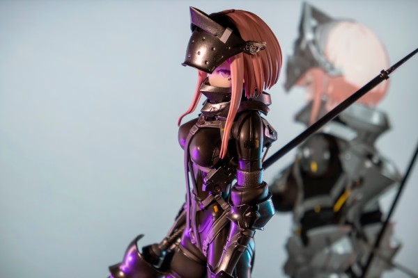 FALSLANDER LANZE REITER