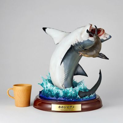 NATURE TALES 大白鲨